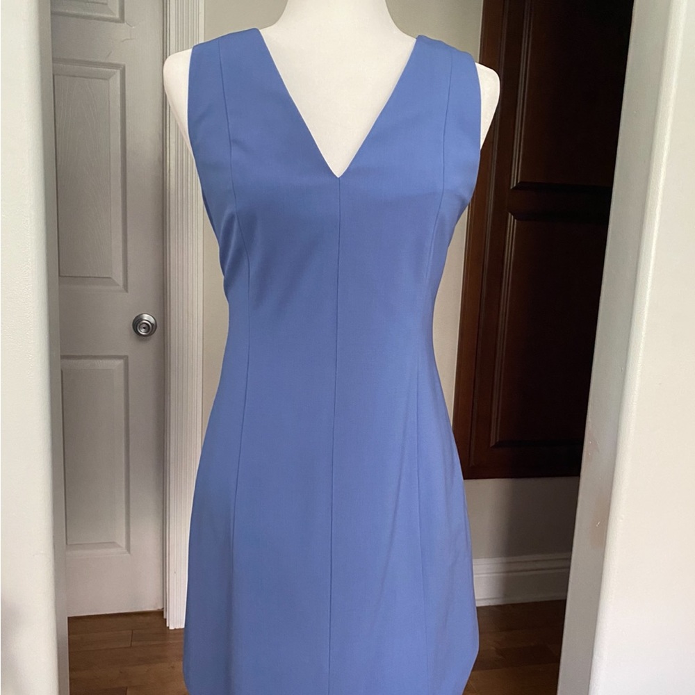 NWOT Theory Dress
